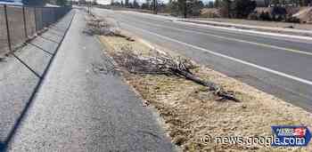 Dozens of trees, street signs toppled, destroyed in NW Bend; police ... - KTVZ