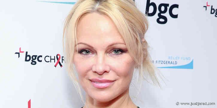 Pamela Anderson Felt Like She'd Just Been 'Punched In The Stomach' After Hearing About Hulu's Pam & Tommy Series