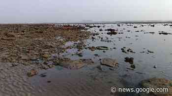 VIDEO: ¿Por qué se alejó el mar de las playas de Boca del Río? - La Silla Rota