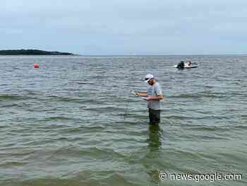 Último monitoreo de agua de playas detecta presencia de ... - Diario Cambio