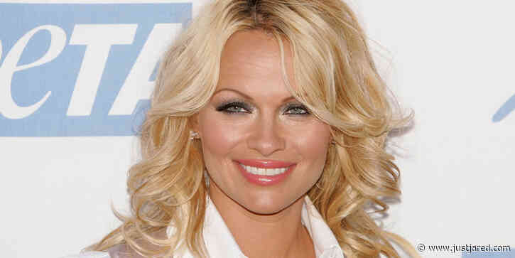 5 Big Bombshells From Pamela Anderson's Netflix Documentary - Find Out What She Revealed!