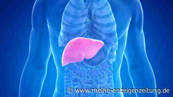 Fettleber: Fünf Lebensmittel, mit denen Sie sich gesund essen können