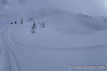 1 snowmobiler dead in avalanche near Valemount, B.C. - Omineca Express