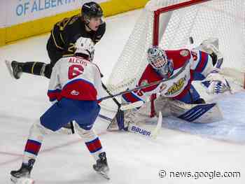 Edmonton Oil Kings shut out by Brandon Wheat Kings - Airdrie Echo