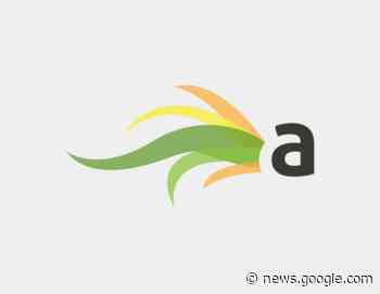 Airdrie RCMP trying to locate missing female - DiscoverAirdrie.com