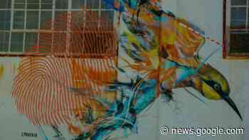 Dagboek van de afvaller - Froukje de Both - Wie is de Mol? - AvroTros