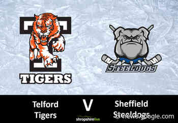 Match Report: Hexagon Telford Tigers 3 - 5 Sheffield Steeldogs - Shropshire Live