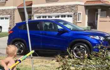 Vehicle, hunting knives, chainsaw stolen from Penticton, B.C. home ... - Global News