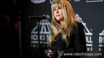 Nickelback, Stevie Nicks, Beck Among Artists Joining Chicago's 2023 Concert Lineup