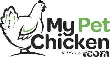 Backyard Chicken Company Experiencing Soaring Sales Due to Increased Egg Prices