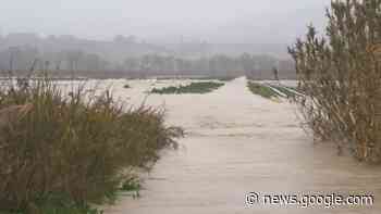 Maltempo e campi allagati, «Più attenzione ai Consorzi di Bonifica» - Termoli Online