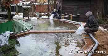 Grevenbroich: „Frischer Fisch“ für Riesen-Aquarium - Rheinische Post
