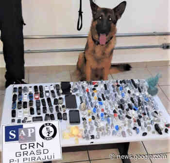 Detentos levam drogas no estômago e até prótese em Bauru; cães ... - Giro Marília Notícias