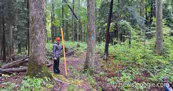 Friends of MacKenzie Trail awarded grant funding for improvements - Cadillac News