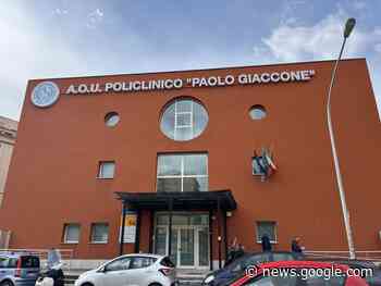 Il Cup del Policlinico di Palermo sull'App “Io” - quotidianodigela.it