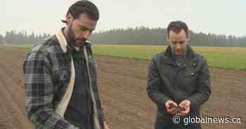 Family fights to prevent development on longstanding Surrey, B.C. farm