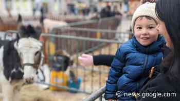 Découvrez en images l'ambiance des Fêtes de l'âne, à Sens - L'Yonne Républicaine