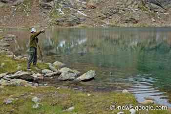 Ontario Fish and Wildlife: Family Fishing Weekend one month away - mybancroftnow.com