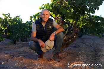 Bancroft pushes into the Spanish Levante with new addition - Harpers Wine & Spirit Trade Review