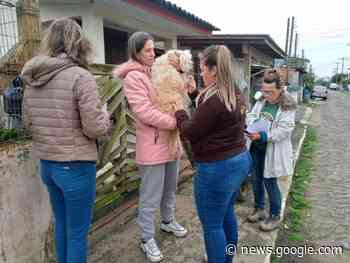 PROJETO FELINOS DE ITAPEVA – Finalizada segunda campanha ... - A FOLHA TORRES