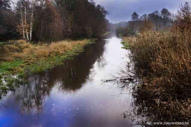 Na 50 jaar mag Kleine Nete weer buiten keurslijf stromen: “We willen het normale waterpeil 60 centimeter opstuwen”