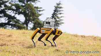 Forschung: Ist die Wissenschaft weniger innovativ geworden? - Berliner Morgenpost