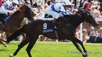 Tributes flow following death of Milton Bradley at the age of 88 - Racing TV