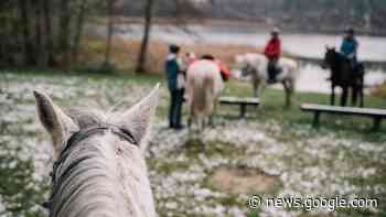 Zwei Menschen, ein Pferd: Wirklich eine gute Idee? - Ostthüringer Zeitung