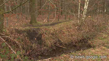 56-jarige leraar uit Duffel sterft na val in beek - RTV