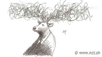 KOMMENTAR - Der Verwaltungsrat, das Schönwetter-Gremium