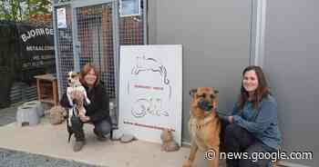 Verkoopactie voor Dierenasiel Ninove in Merelbeke, maar uitbaters ... - Het Laatste Nieuws