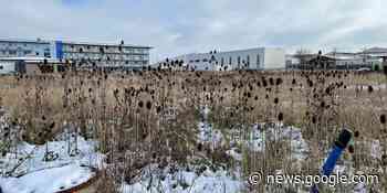 Direkt an der Franken-Therme und dem Landesgartenschau-Areal ... - NN.de