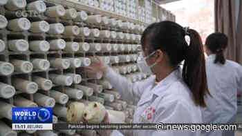 Coronavirus Pandemic: Patients turn to traditional Chinese medicine ... - CGTN