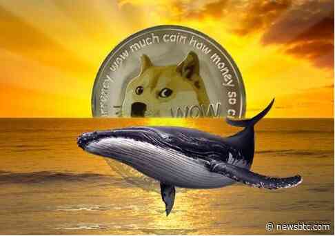 Whales Bag 500 Million Dogecoin – Will DOGE Hit $0.1 Mark?