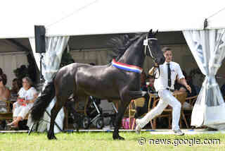 Hynstedagen Tytsjerksteradiel op de Sumarreheide bij Sumar en ... - RTV NOF