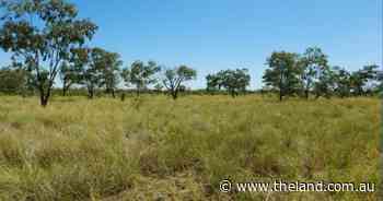 Quality farming and grazing on offer