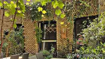 Das „Impact Café“ in Köln Sülz: Green Management des Jahres - 24RHEIN