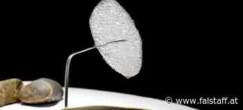 »El Celler de Can Roca«: Ein Dessert geht viral und sorgt nicht nur für Begeisterung