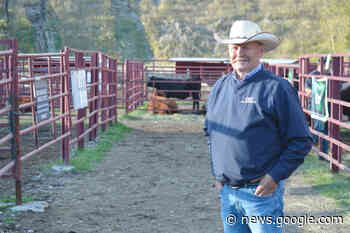BC Angus Association hosts annual general meeting, field day in ... - Quesnel - Cariboo Observer
