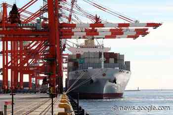 Net Zero sail-powered cargo ships that transport … coal - The Spectator Australia