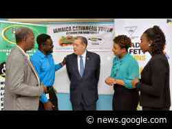 Transport Ministry will not relent on road safety – Shaw - Jamaica Gleaner