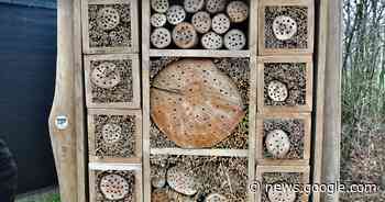 Cursus over insectenhotels | Lokeren | hln.be - Het Laatste Nieuws