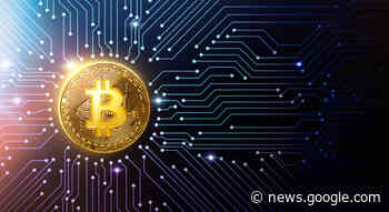Bitcoin Basics: A Beginner's Guide to Cryptocurrency - Cryptonews