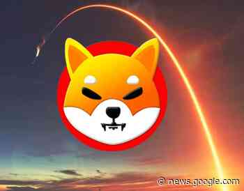 First-Time Cryptocurrency Investors Are Buying Shiba Inu: Nansen - Watcher Guru