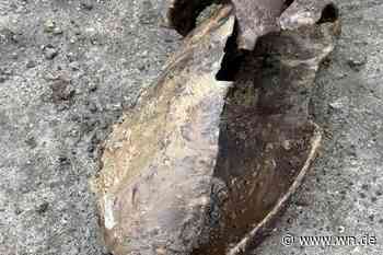 Blindgänger Loddenheide muss nicht entschärft werden