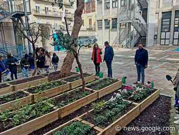Trani, inaugurato l'orto e il giardino didattico del 1° C.D. “De Amicis ... - TraniLive