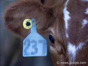 Farmgate: Digging into Canadian's higher costs - Gananoque Reporter