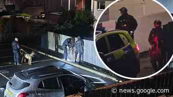 Armed police launch major operation in Trimdon Station, County ... - The Northern Echo