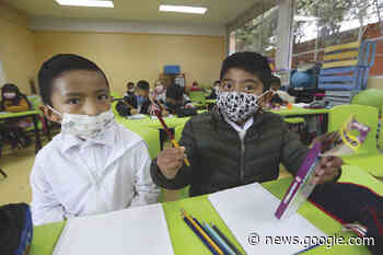 Educación: la estrategia del avestruz - LetrasLibres.com