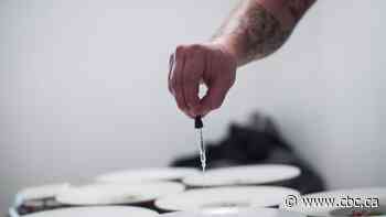 Edmonton as a cannabis tourist destination? City could be Canadian leader, group suggests